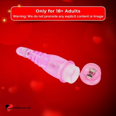 Give Me Orgasm Fun Vibrator FV-013