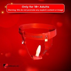 Chastity Lock Device for Women BDSM-002