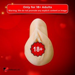 Pocket Pal V2 MMT-016